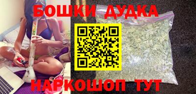 шишки Славгород