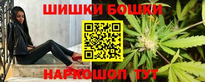 шишки Славгород
