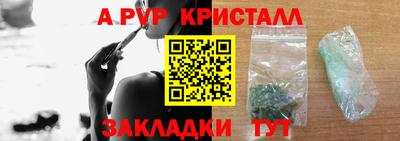 шишки Славгород